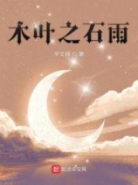 火影之石雨