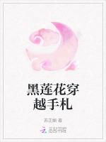 黑莲花穿越手札