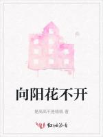 向阳花不开