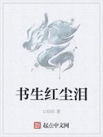 书生红尘泪