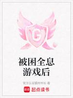 被困全息游戏后