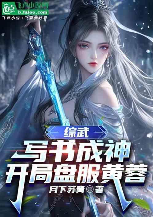 综武：写书成神开机盘服黄蓉