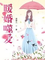 暖婚噬爱