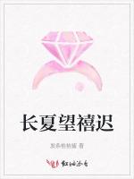 长夏望禧迟
