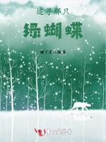追寻那只绿蝴蝶