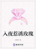 入夜惹诱玫瑰