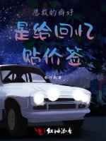 总裁的癖好是给回忆贴价签