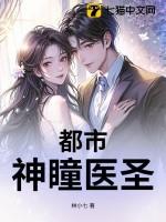 都市神瞳医圣