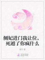 侧妃进门我让位，死遁了你疯什么
