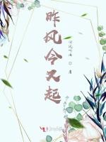 昨风今又起