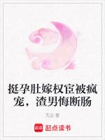 挺孕肚嫁权宦被疯宠，渣男悔断肠