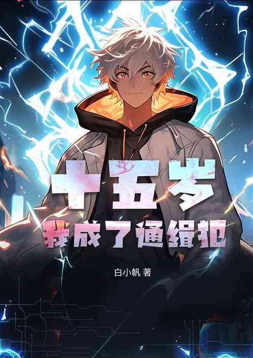 十五岁，我成了通缉犯