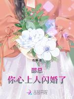 邵总，你心上人闪婚了