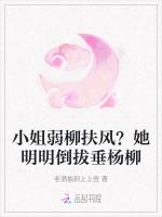 小姐弱柳扶风？她明明倒拔垂杨柳
