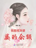我能预测婆婆的余额