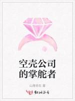 空壳公司的掌舵者