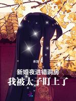 新婚夜进错洞房，我被太子盯上了
