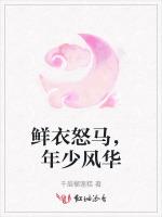 鲜衣怒马，年少风华