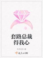 套路总裁得我心