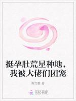 挺孕肚荒星种地，我被大佬们团宠