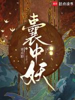 囊中妖