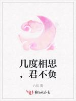 几度相思，君不负