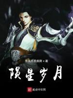 陨星岁月