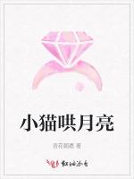 小猫哄月亮