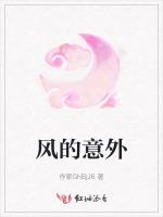 风的意外
