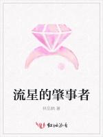 流星的肇事者