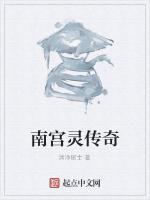 南宫灵传奇